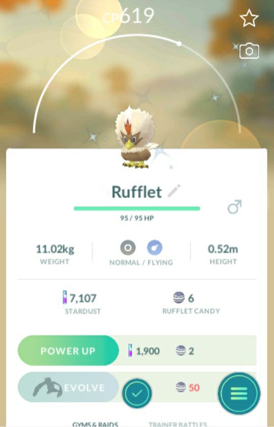 Shiny Rufflet In Pokémon Go Pokémon Amino