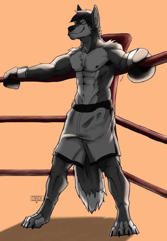 Kane Morgan | Wiki | Furry Boxing Club Amino