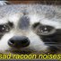 amino-Rustle the Raccoon (Nalore)-d7f4ebe0