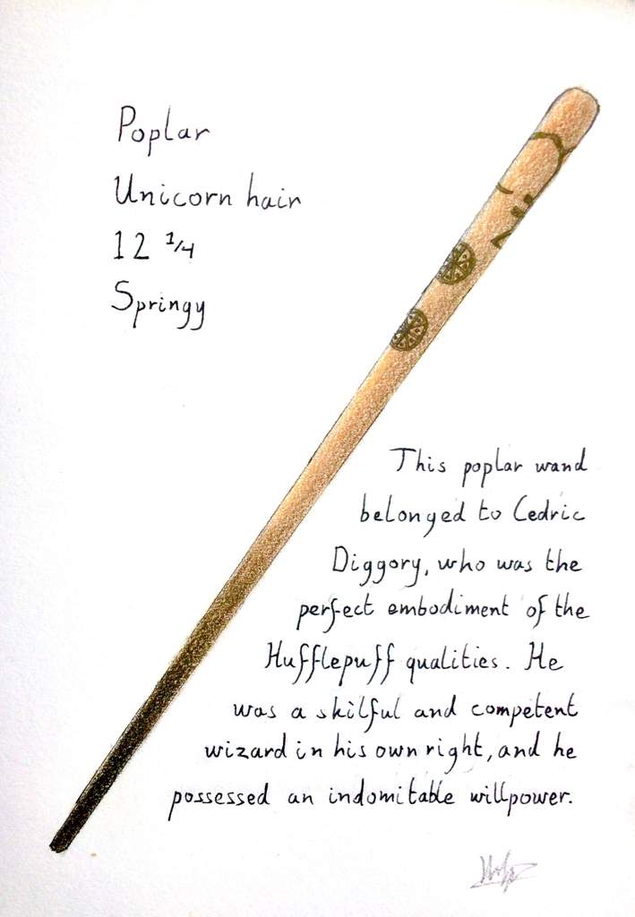 The wand of Cedric Diggory: Poplar | Unicorn hair | 12 1/4” | Springy |  Hogwarts Mystery Amino Amino