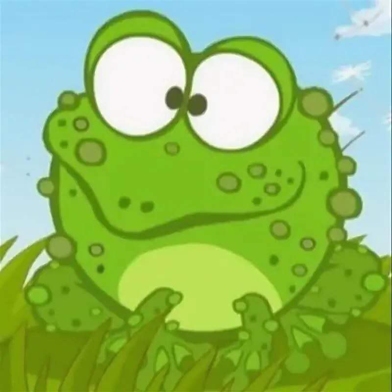 Лягушка | Wiki | Смешарики Amino