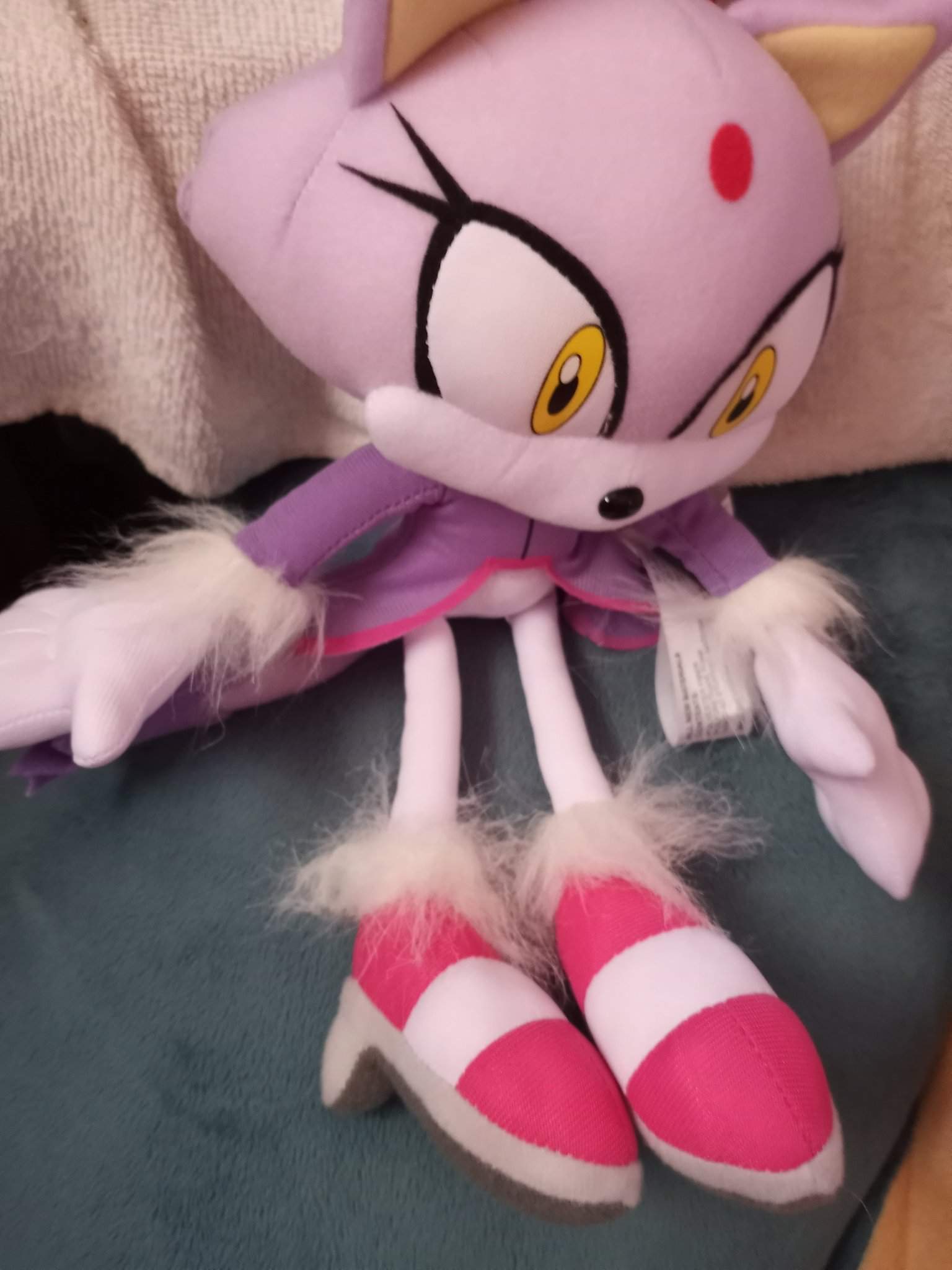 Blaze The Cat Plushie | Sonic the Hedgehog! Amino