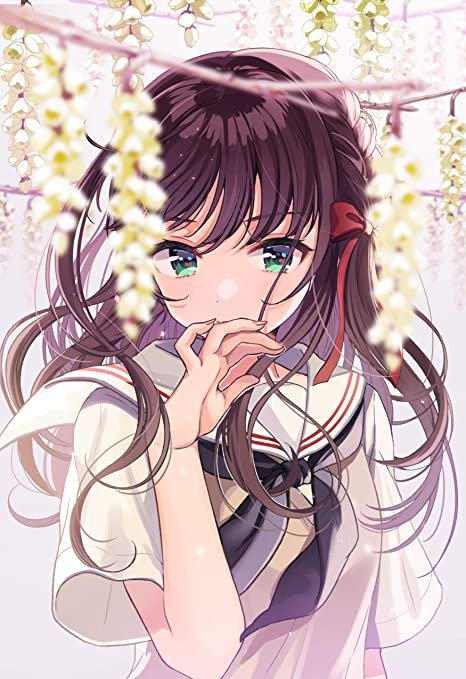 Brown hair and brown eyes anime girl