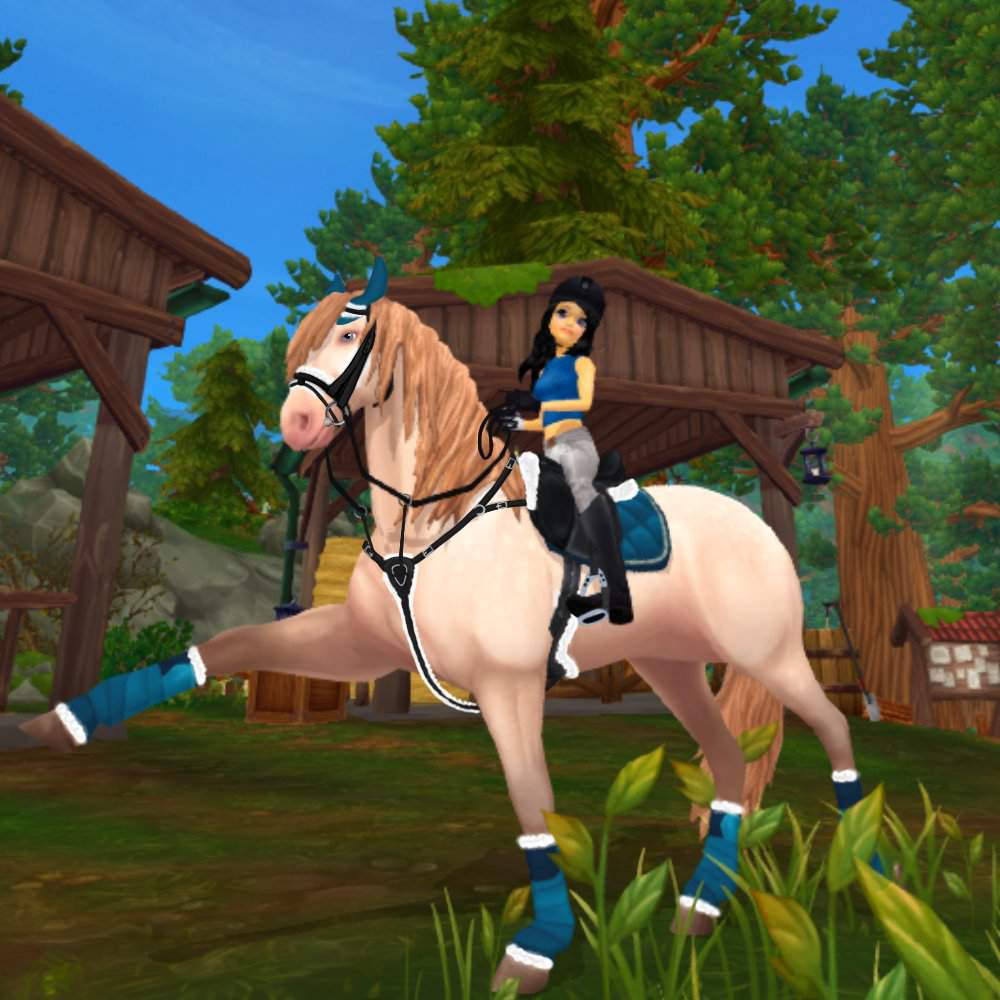 Tried adding some extra tack to sso horses | Star Stable Online Amino