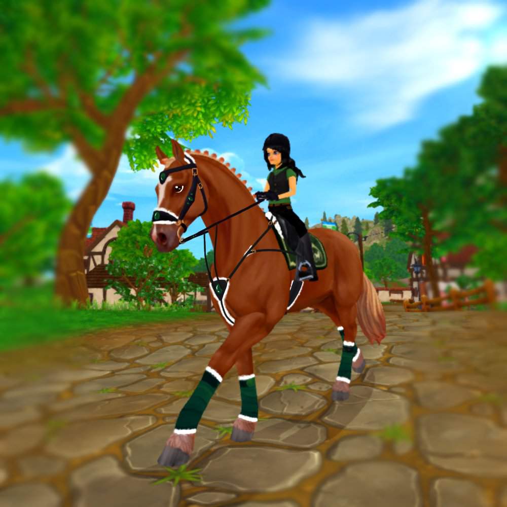 Tried adding some extra tack to sso horses | Star Stable Online Amino