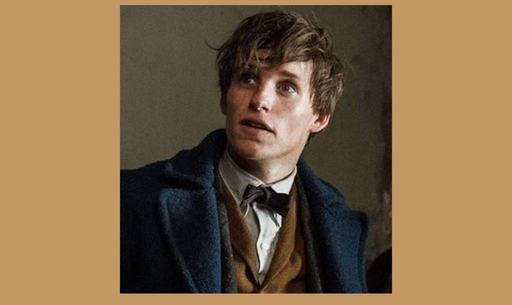 Newt Scamander Wiki 【rpg】hogwarts☇harry Potter Amino 9388