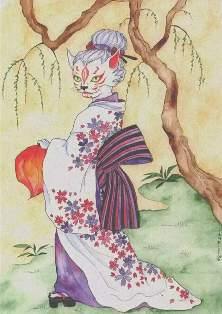 Кот в кимоно
