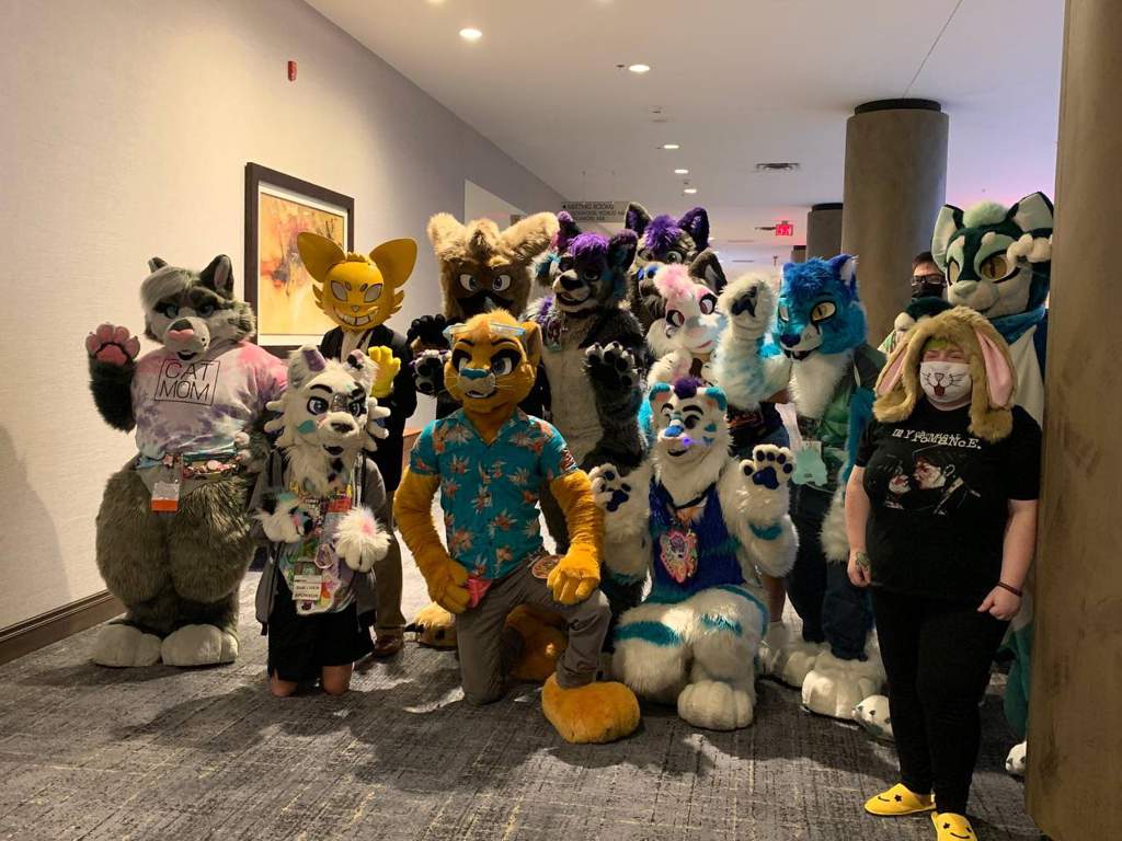 Tails and Tornadoes Fur Con 2021 Success! | Furry Amino