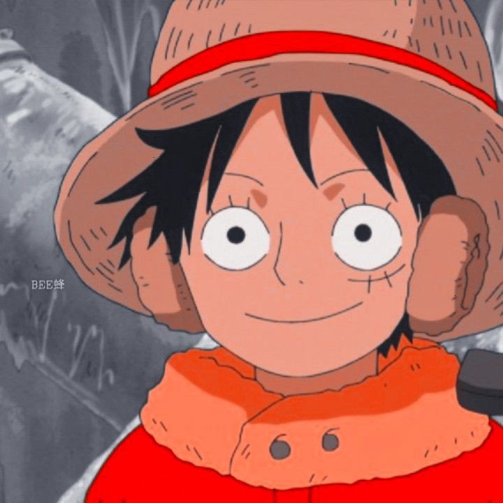 Profile picture luffy Luffy PFP: