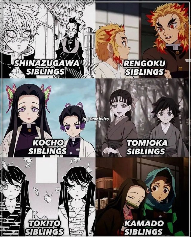 Siblings | Demon Slayer: Kimetsu No Yaiba Amino