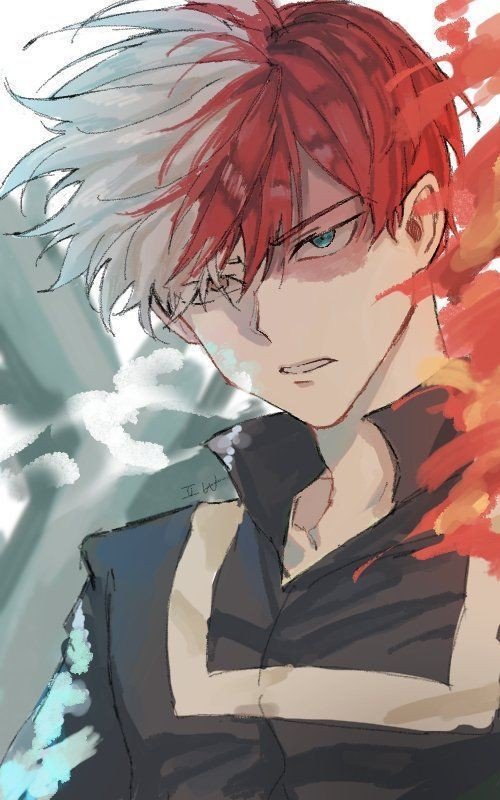 Shoto Todoroki | Wiki | My Hero Academia Amino