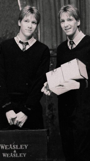 Fred und Georg weasley | Wiki | Harry Potter - Hogwarts Erben Amino