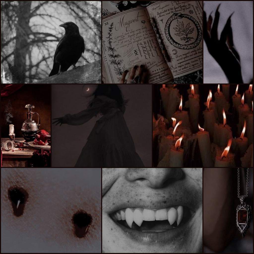 Vampire Aesthetic Board | aesthetics Amino