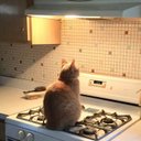 в зимний день унылый острые козырьки стих. Смотреть фото в зимний день унылый острые козырьки стих. Смотреть картинку в зимний день унылый острые козырьки стих. Картинка про в зимний день унылый острые козырьки стих. Фото в зимний день унылый острые козырьки стих