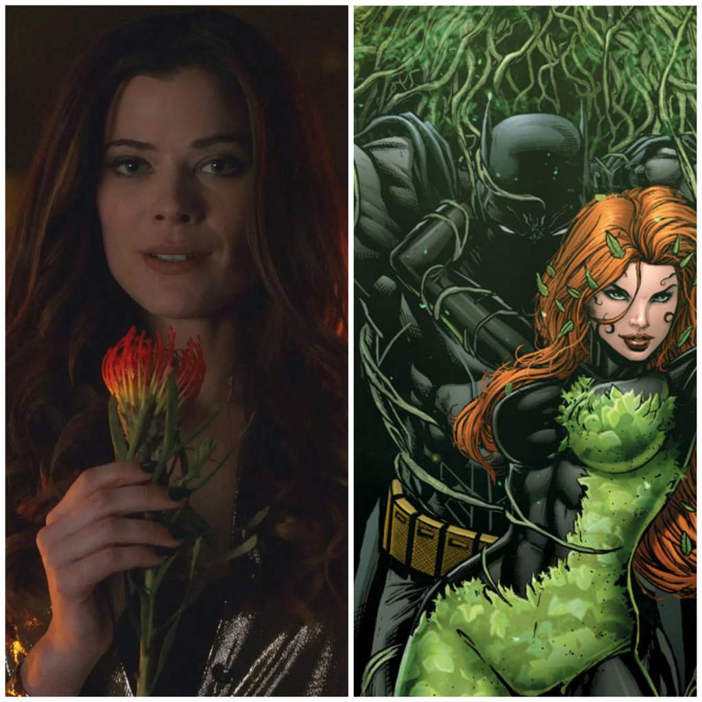 El problema de Ivy Pepper y Poison Ivy | ｢ • DC Universe • ｣ Amino