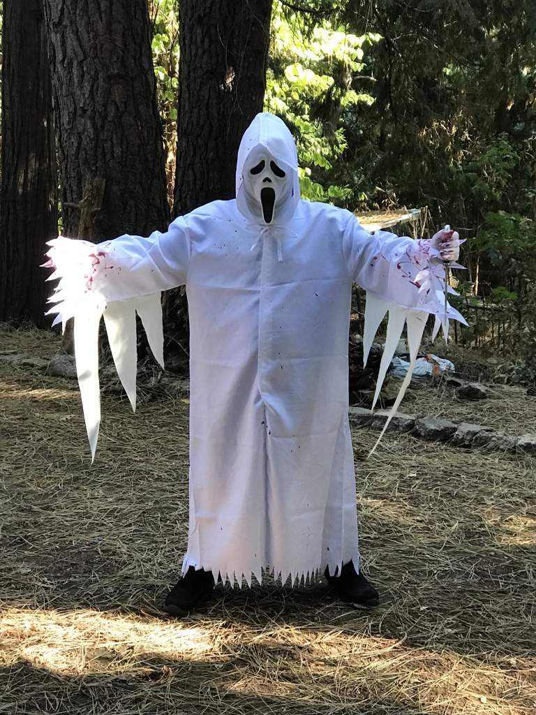 White Ghostface Robes and Mask Horror Amino