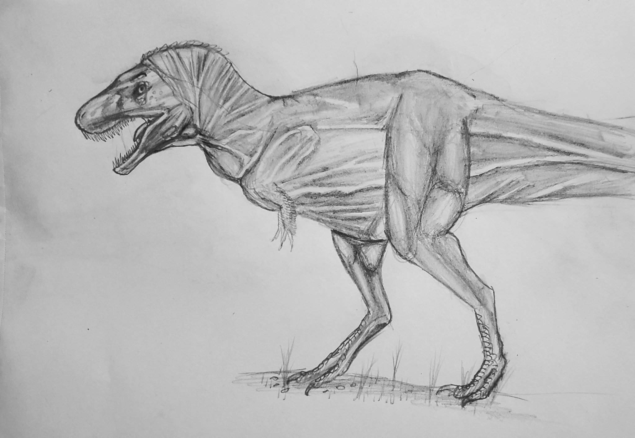 A Reconstruction of A Trex With Nothing but a Skeleton | Dinosaur ...