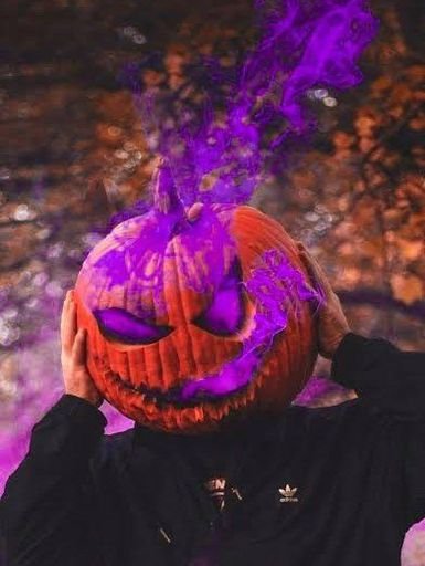 🎃𝐏𝐮𝐦𝐩𝐤𝐢𝐧🎃 | Wiki | Otanix Amino