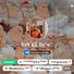 amino-off⼼⃨p̵𝘢ࠖɹd͜͡ɔ?᳢🐻ふ-8e229053