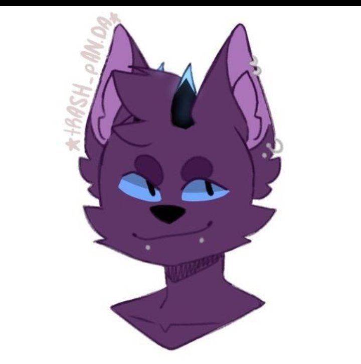 Dextra Yoru | Wiki | Furry RP Town Amino