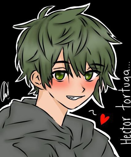 Dibujos del tortugas | Wiki | •Anime• Amino