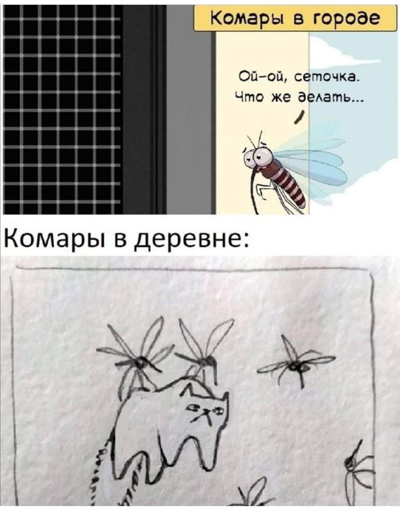 Деревенские комары Мем