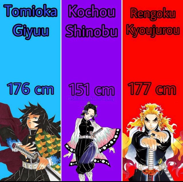 Hashira’s heights Demon Slayer Kimetsu No Yaiba Amino