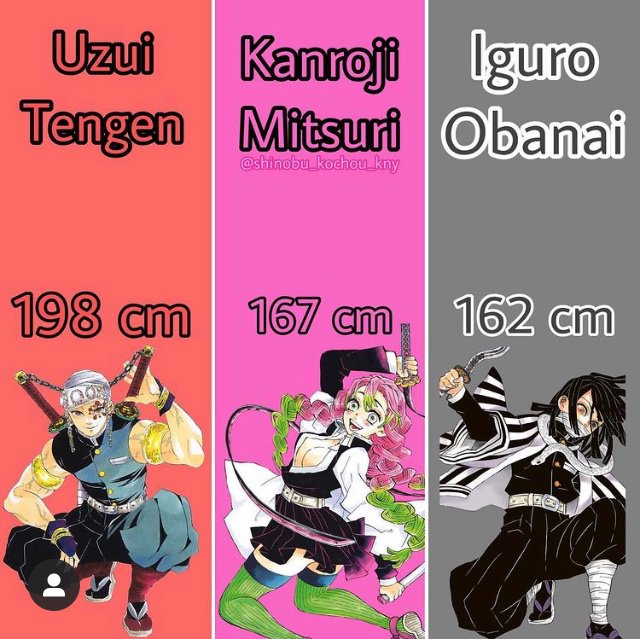 Hashira’s heights | Demon Slayer: Kimetsu No Yaiba Amino