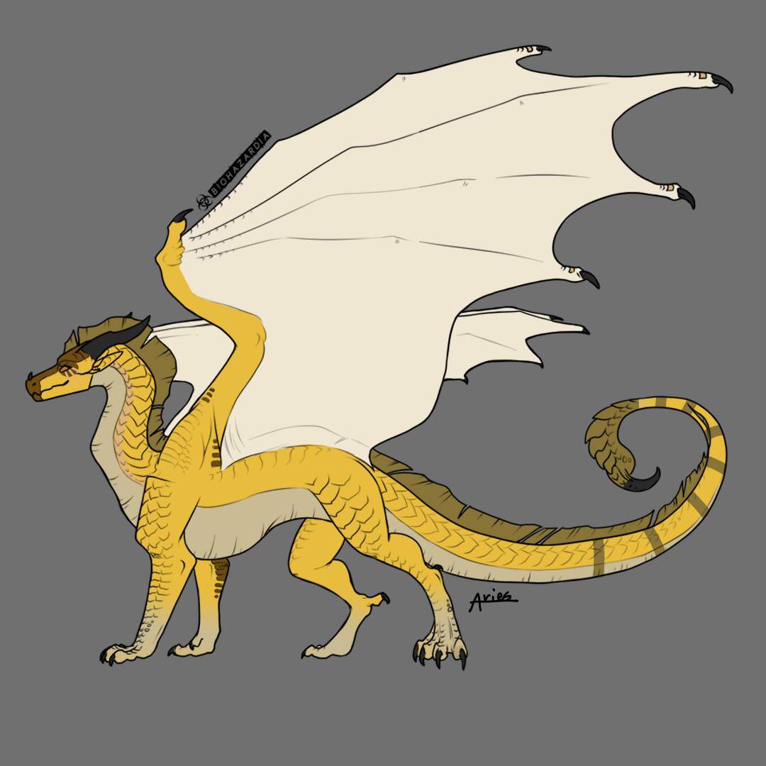 New sandwing baby | Wings Of Fire WOF Amino