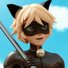 amino-~Ladynoir~-306ce9ed