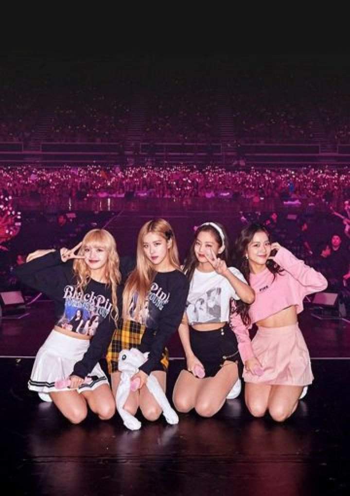 💗Blink forever💗 | BLACKPINK ARTS Amino