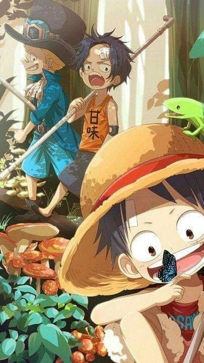 Fotos de Luffy y sus hermanos | •One Piece• Amino