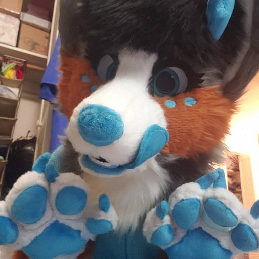 Maj-Mania749 | Wiki | Fursuit Maker Amino Amino