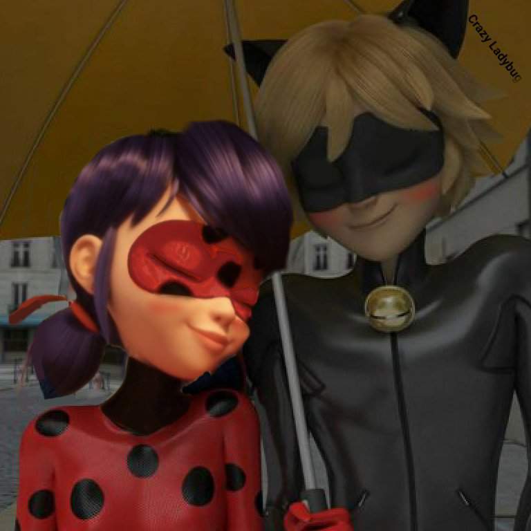 Ladynoir umbrella (My edit) | Miraculous Amino