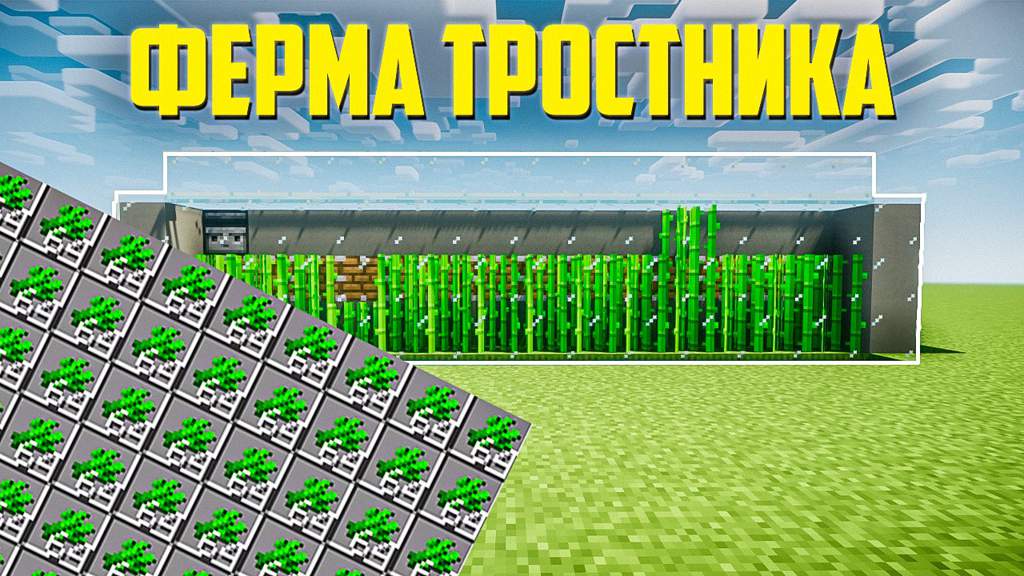 Схема ферма тростника