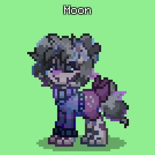 Development of my oc Moon | Pony Town Amino