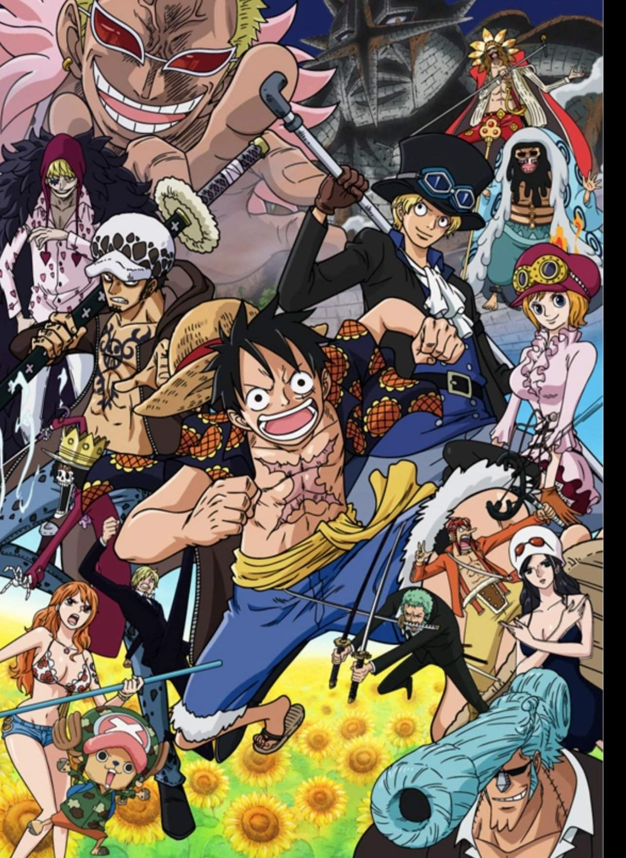 Quel est votre arc préféré de one piece ? | One Piece 🍗 Amino