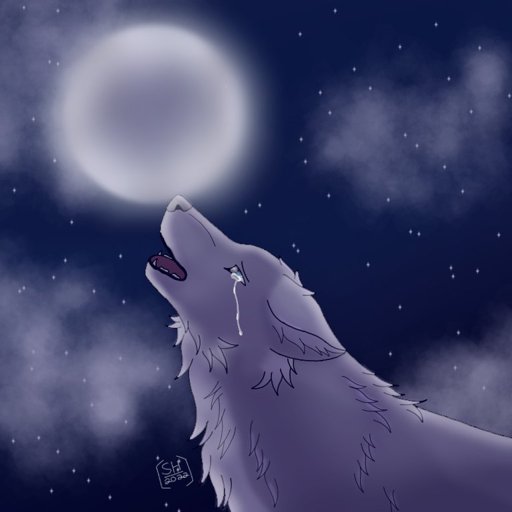 Shiloh | Wiki | Wolf Pack Amino Amino