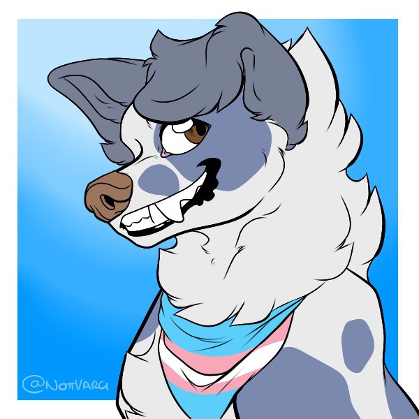 All of my fursonas | Wiki | Furry Amino