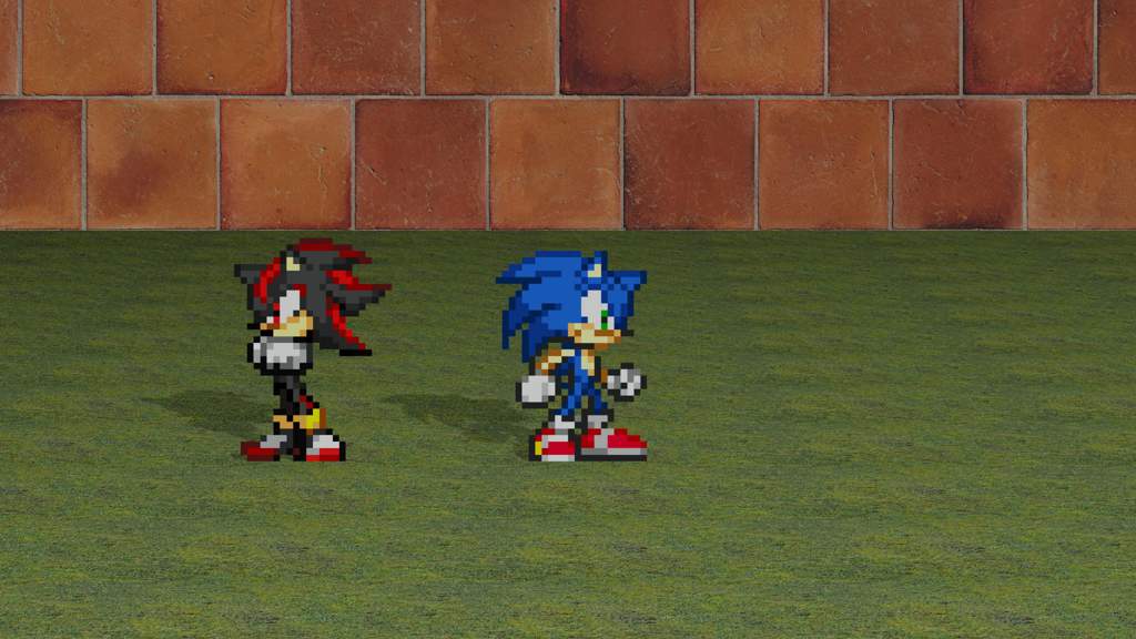 Battle of Hedgehogs Sprite Fight | Sonic the Hedgehog! Amino