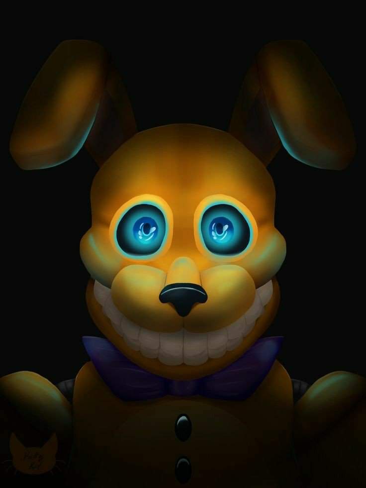 Pit bonnie | Wiki | Five Nights At Freddy's Amino