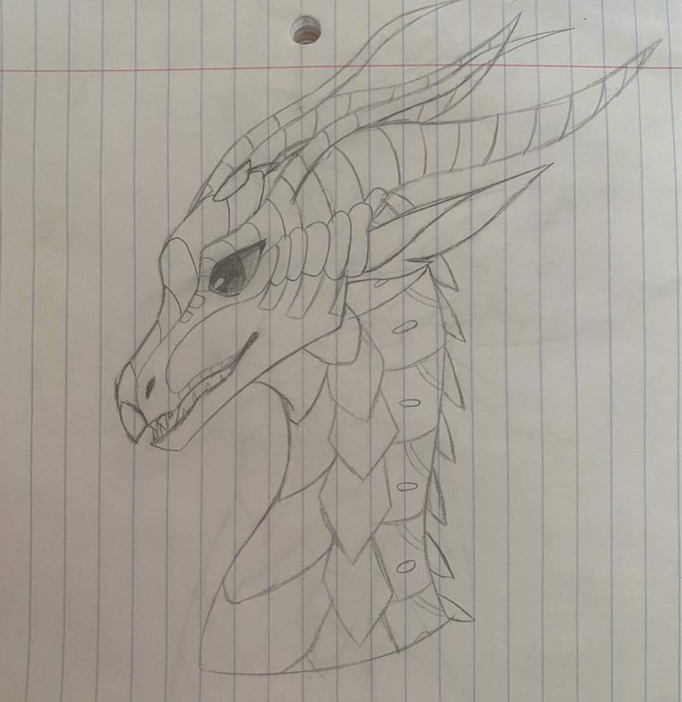 Traditional Sketch Headshots Wings Of Fire Amino