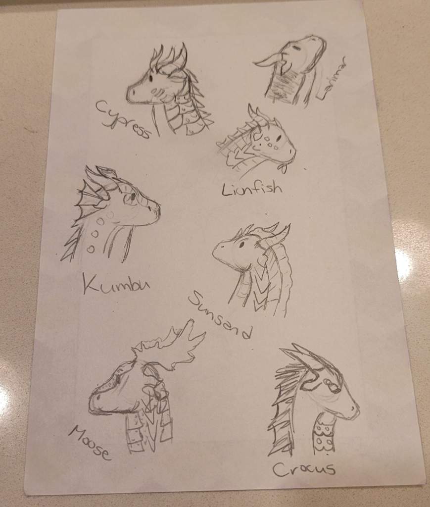 10 ac Chibi Sketches! | Wings Of Fire WOF Amino