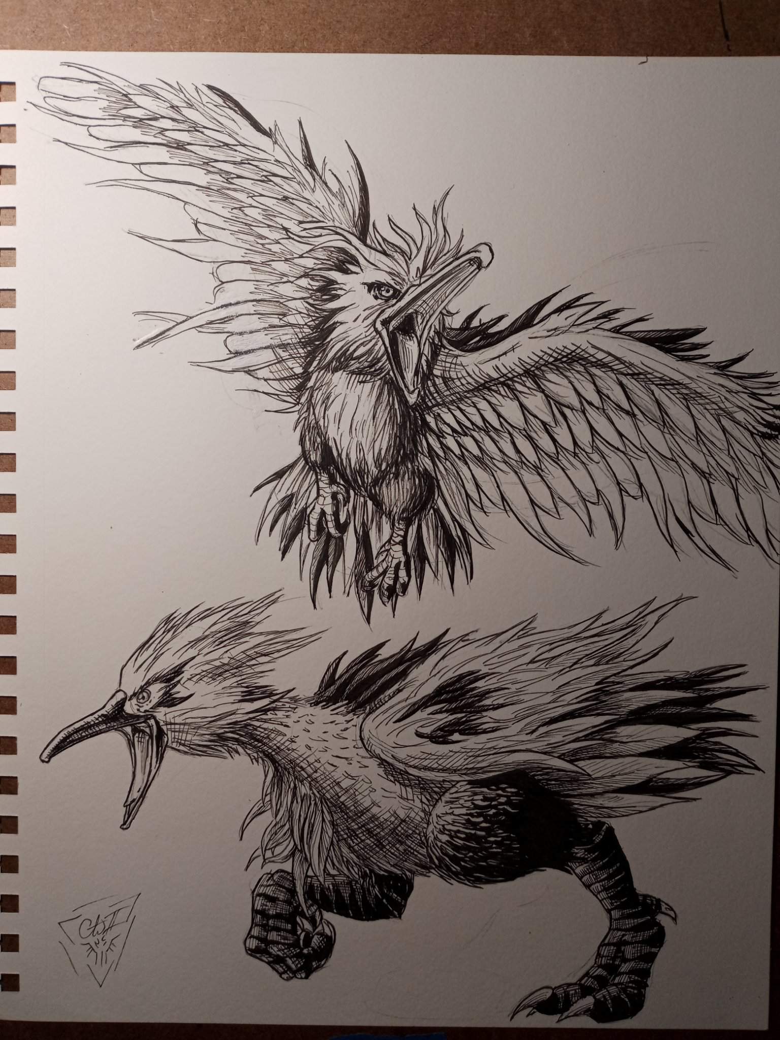 Zapdos 