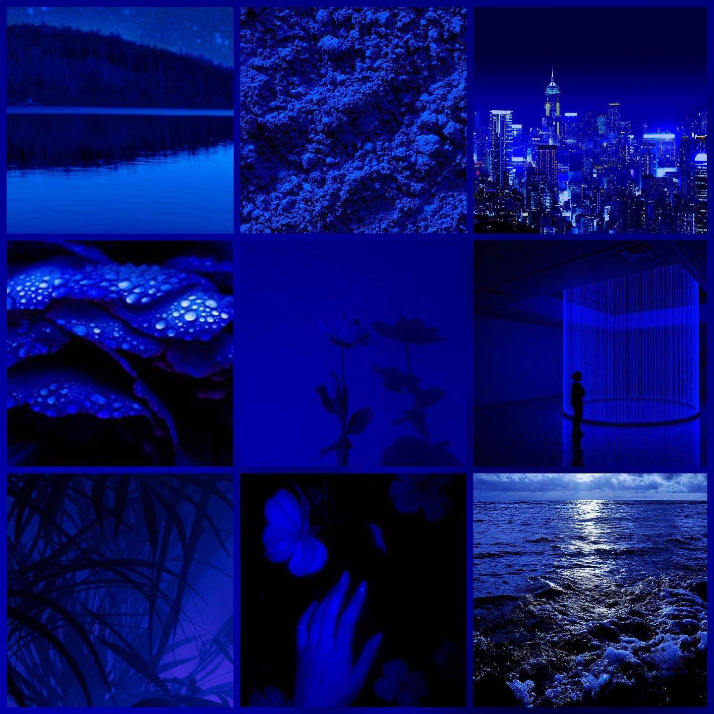 Cobalt aesthetic 🫐💙 | aesthetics Amino