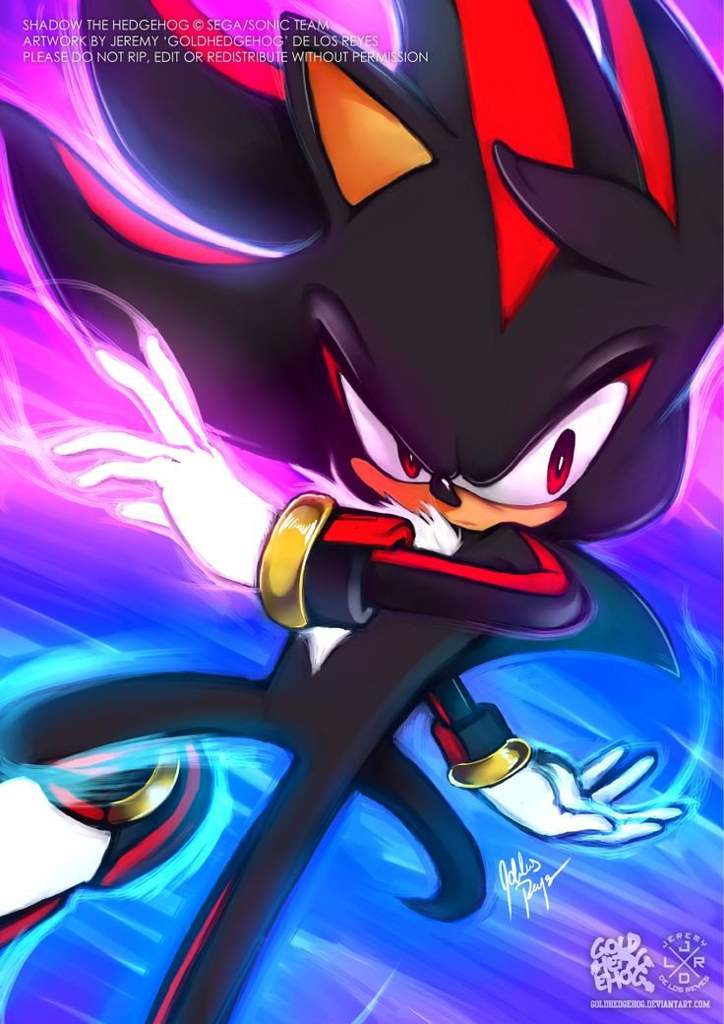 Shadow The Hedgehog 