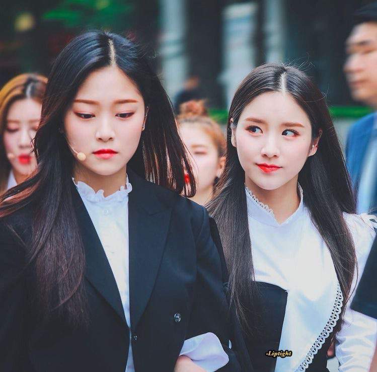 2jin | LOONA Amino