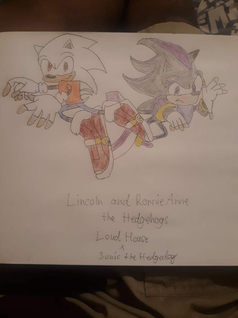 Lincoln And Ronnie Anne The Hedgehogs The Loud House Amino Amino 