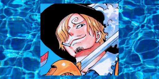 Pum | •One Piece• Amino