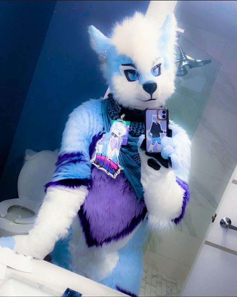 Jemstar husky | Wiki | Furry Fandom 4Ever Amino